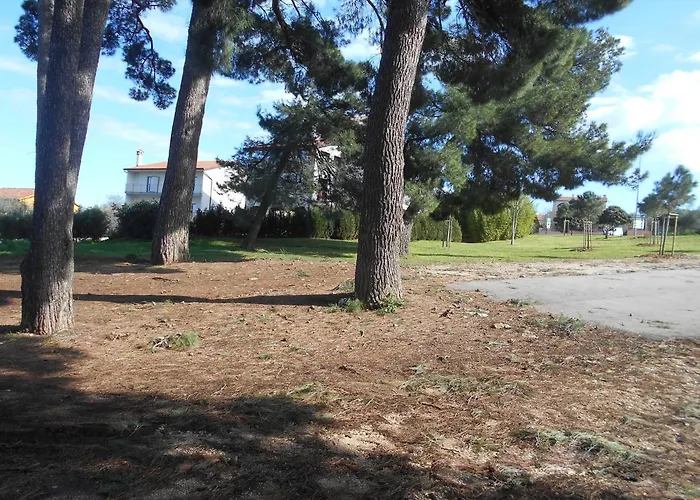 Triple 13591g 3* Ρόβινι