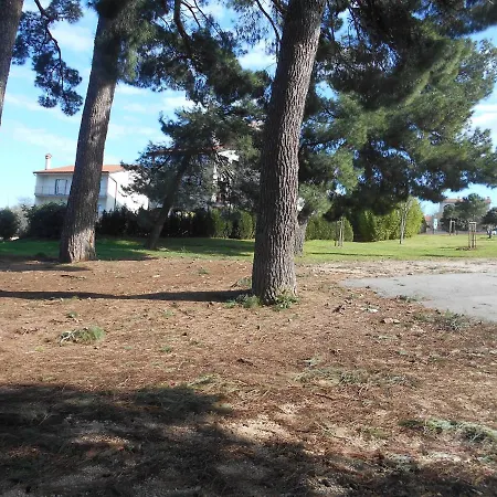 Triple 13591g 3* Ровинь